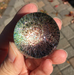 Load image into Gallery viewer, Dichroic Galaxy Marble 2020
